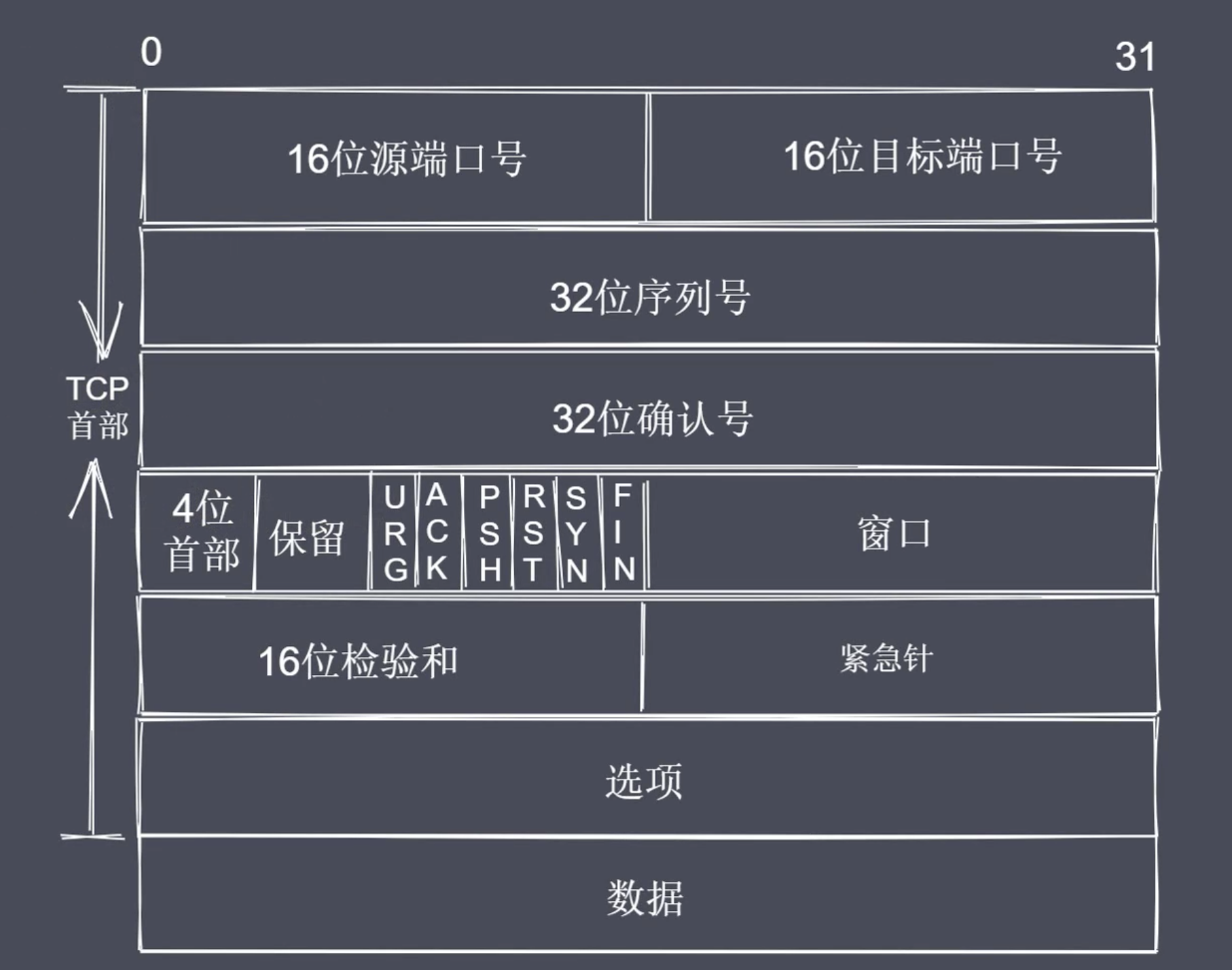 TCP报文结构